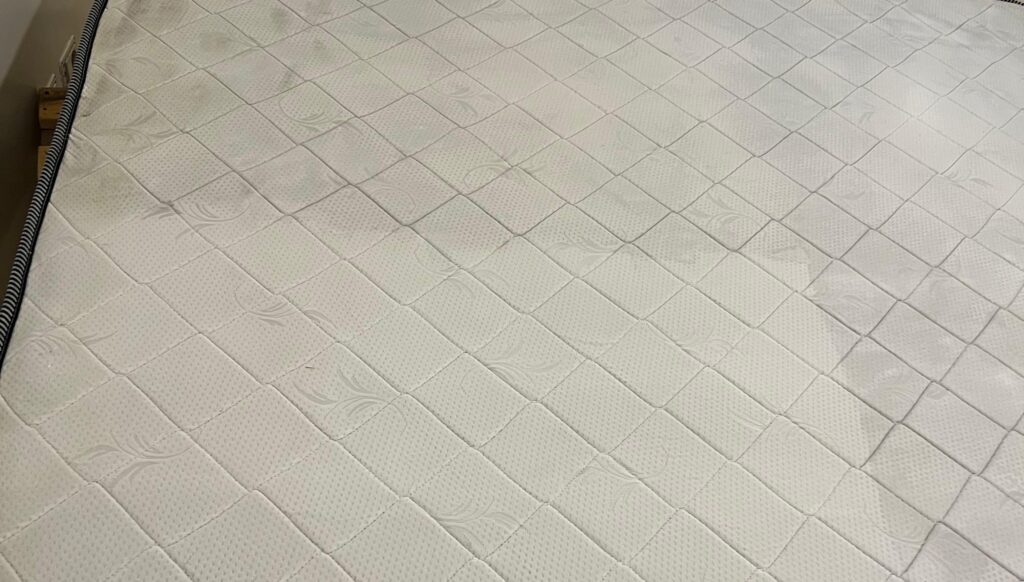 Professional mattress cleaning in Sydney removing stains and allergens