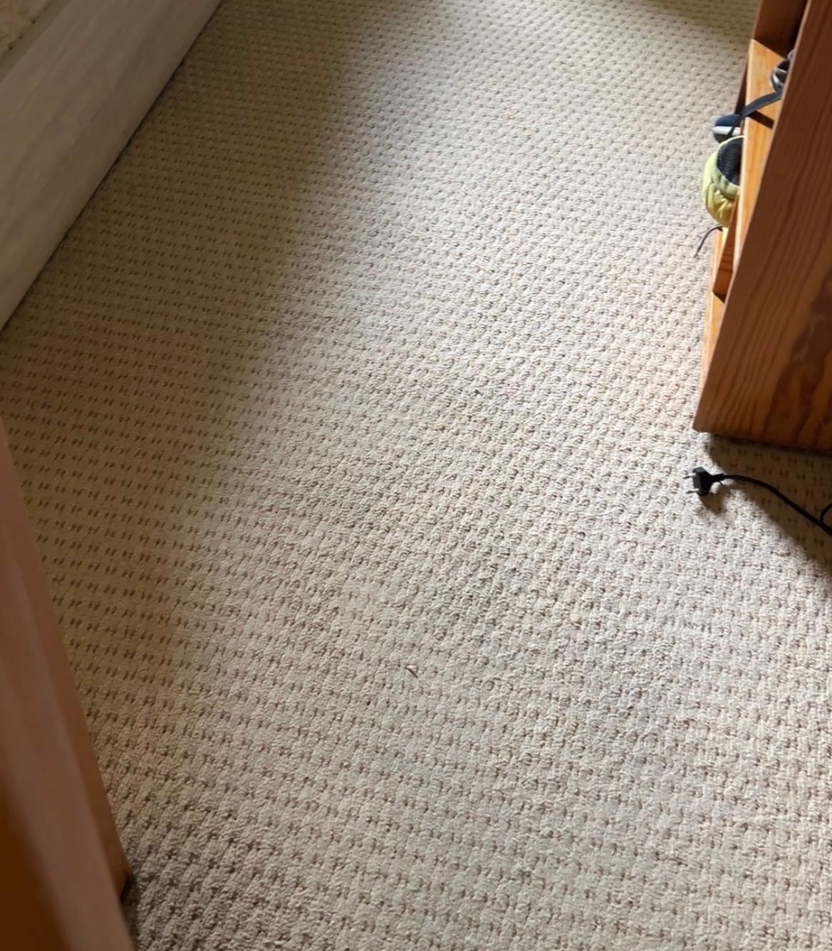 Professional carpet cleaning in Sydney restoring residential carpets